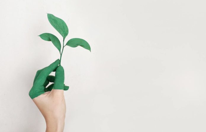 art-close-up-ecology-environment-fingers-green-1563199-pxhere.com_